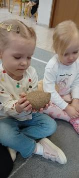 IMG_20250225_092605045