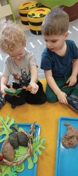 IMG_20250225_092654442