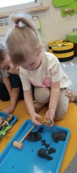 IMG_20250225_092916924