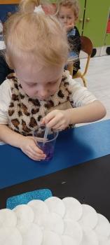 IMG_20250226_100439172