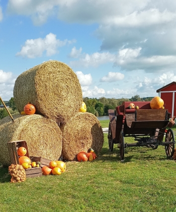 IMG_20250916_104245727~2