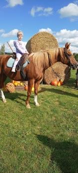 IMG_20250916_111516758