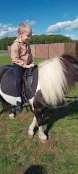 IMG_20250916_113224357