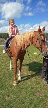 IMG_20250916_115229635