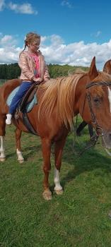 IMG_20250916_115327175