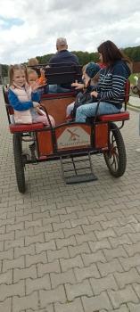 IMG_20250916_125109229