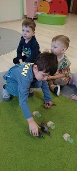 IMG_20250226_101639609