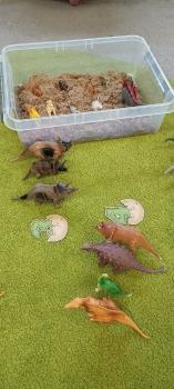 IMG_20250226_102122344