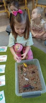 IMG_20250226_102238766