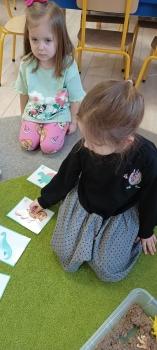 IMG_20250226_102355418