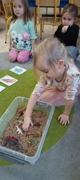 IMG_20250226_102407316