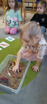 IMG_20250226_102409565