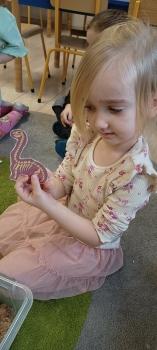 IMG_20250226_102429367
