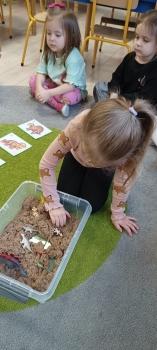 IMG_20250226_102636005