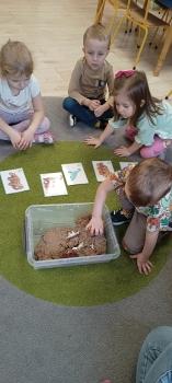 IMG_20250226_103033902