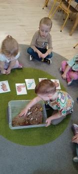 IMG_20250226_103042251