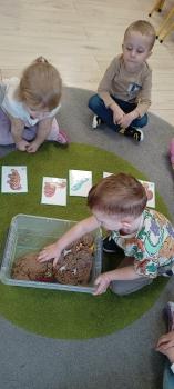 IMG_20250226_103046499