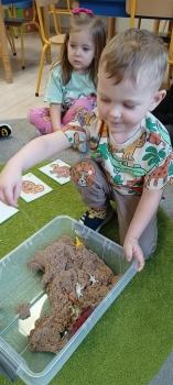 IMG_20250226_103107557
