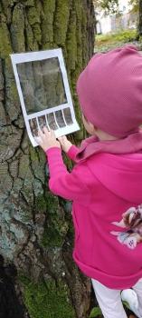 IMG_20250923_110542148