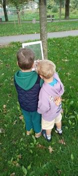 IMG_20250923_110626840