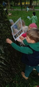 IMG_20250923_110926735