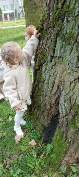 IMG_20250923_110950576