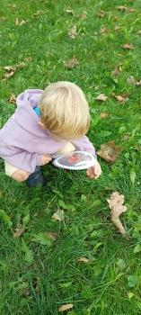 IMG_20250923_111507557