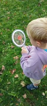 IMG_20250923_111532470