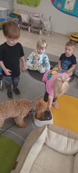 IMG_20250917_091231915