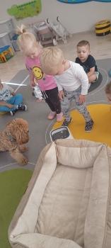 IMG_20250917_091206651