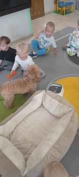 IMG_20250917_091329622