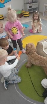 IMG_20250917_091429143