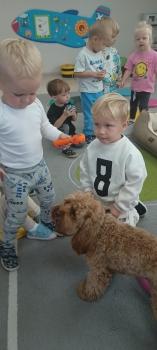 IMG_20250917_091507706