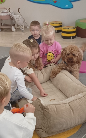 IMG_20250917_092135774~2