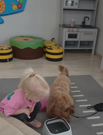 IMG_20250917_092314502~2