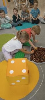 IMG_20251003_104306274