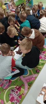 IMG_20251010_104409916