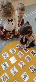 IMG_20251121_100828753