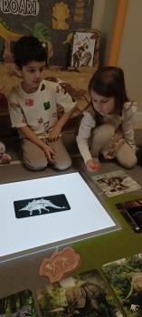 IMG_20260226_104444729