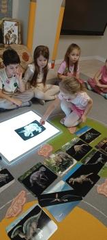 IMG_20260226_105253899