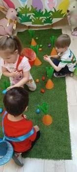 IMG_20260330_121559285