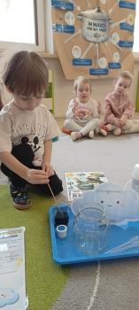 IMG_20260303_095202873