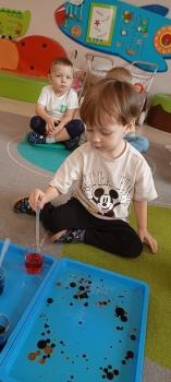 IMG_20260303_101908423