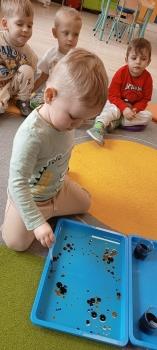 IMG_20260303_101820571