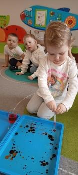 IMG_20260303_101947451