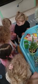 IMG_20260313_101125973