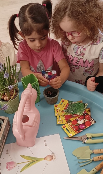 IMG_20260313_101515370~2