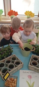 IMG_20260313_101849135