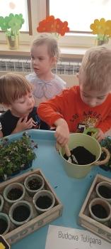 IMG_20260313_101911625