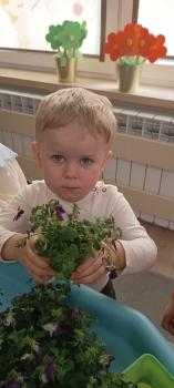 IMG_20260313_102216199